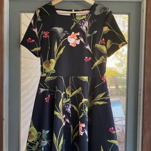 Woman’s size 4 Ted Baker of London dress